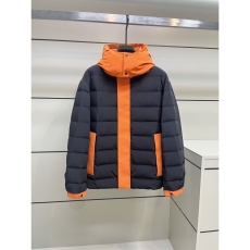 Zegna Down Jackets